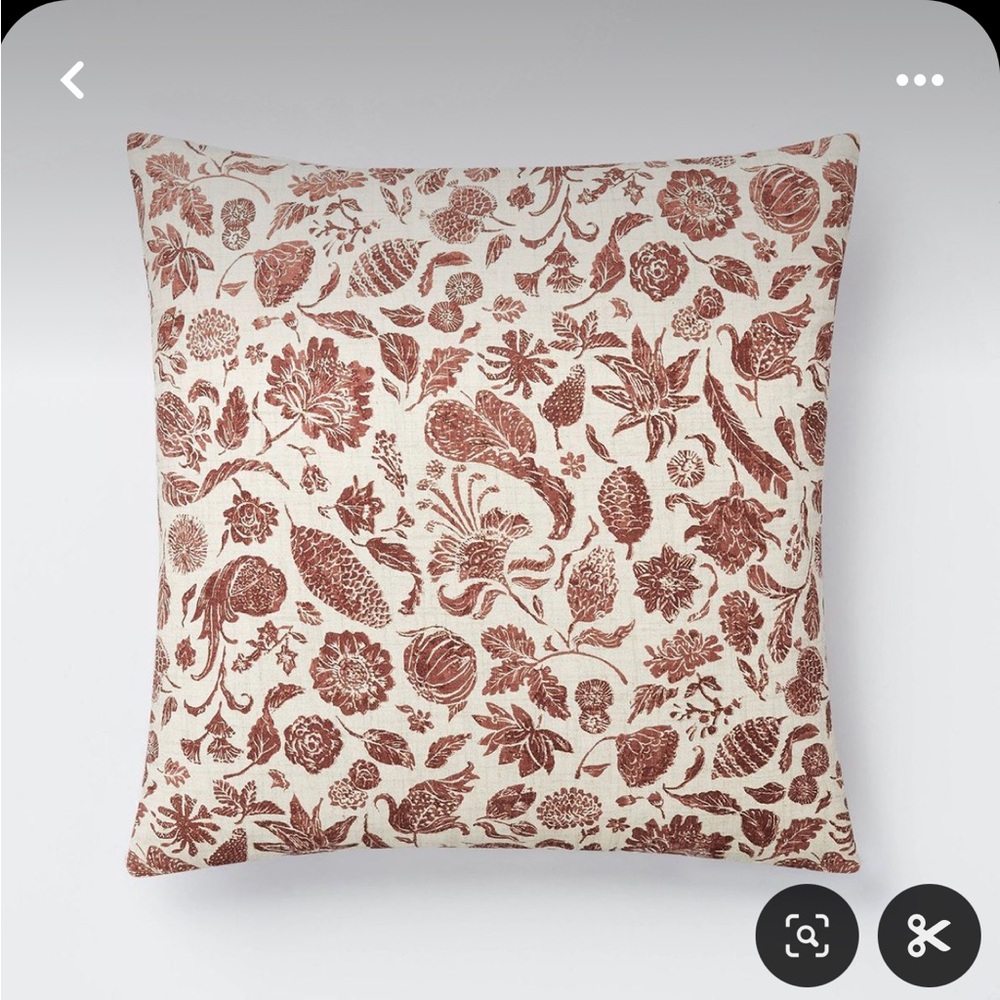 Throw Pillow